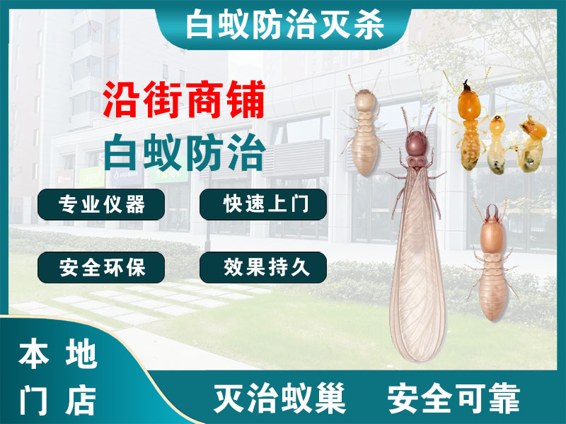 临海市沿街商铺白蚁防治