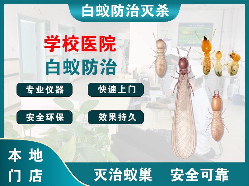 临海市学校医院白蚁防治