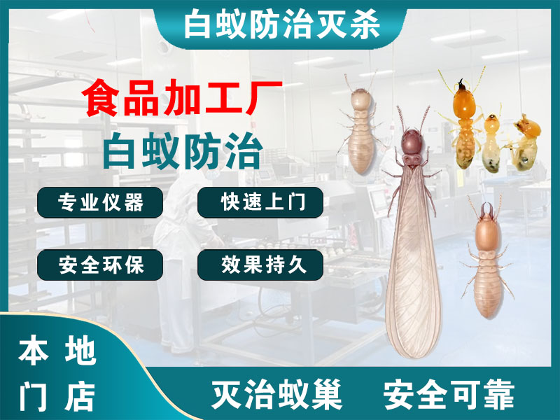 临海市食品加工厂白蚁防治