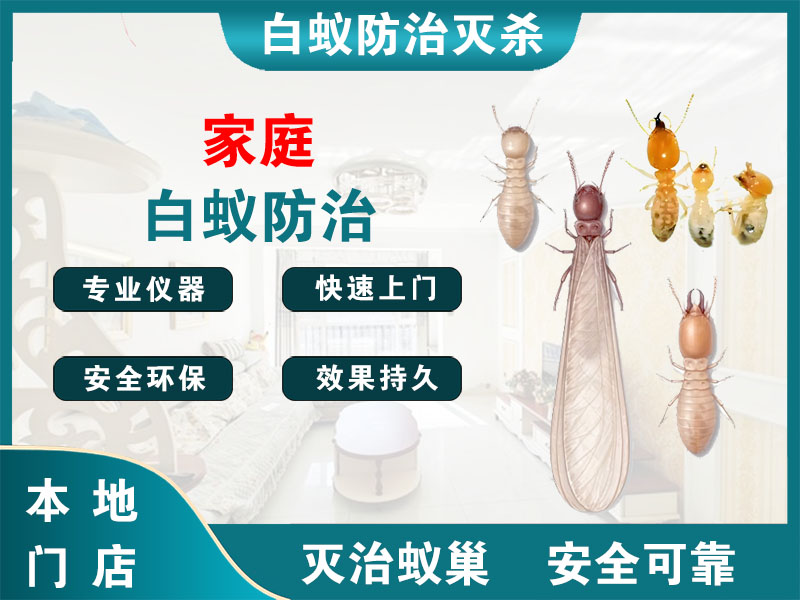 临海市家庭白蚁防治