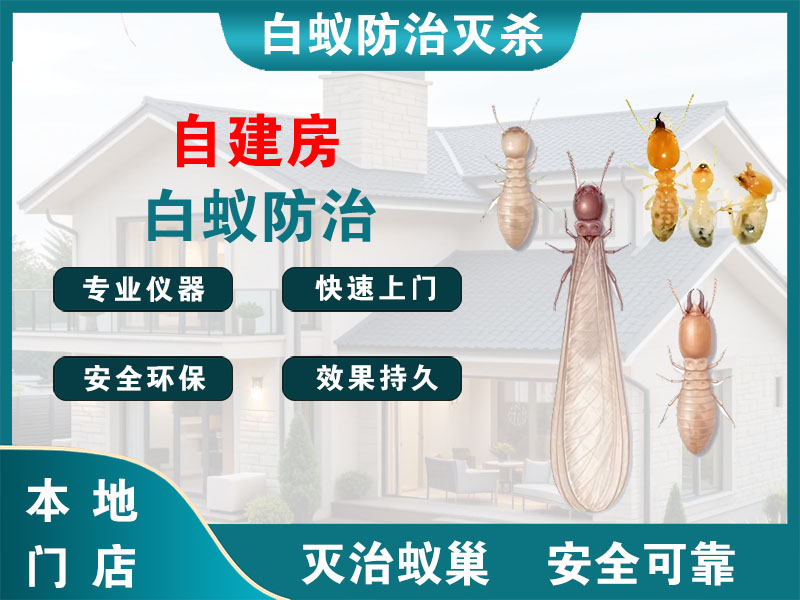 临海市自建房白蚁防治