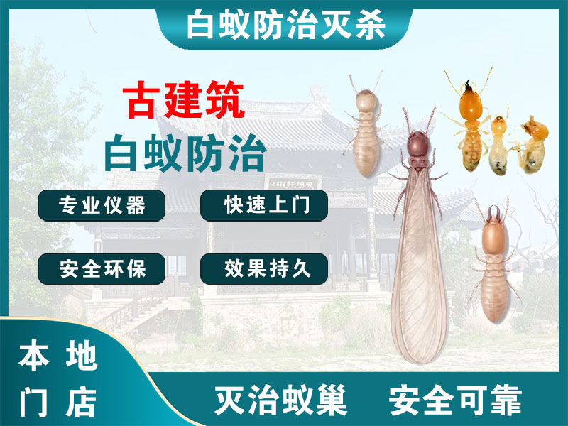临海市古建筑白蚁防治