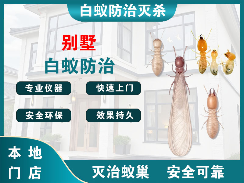 临海市别墅白蚁防治