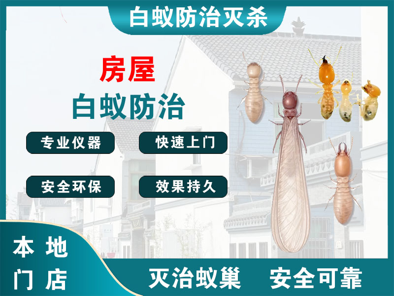 临海市房屋白蚁防治